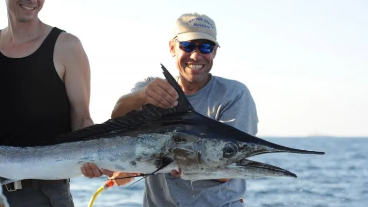 WWF pozdravlja novi plan oporavka mediteranske sabljarke: 'Mnogo toga još treba učiniti'