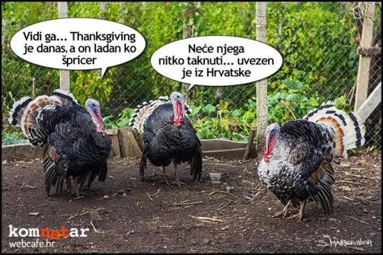 Hrvatska purica nema brige