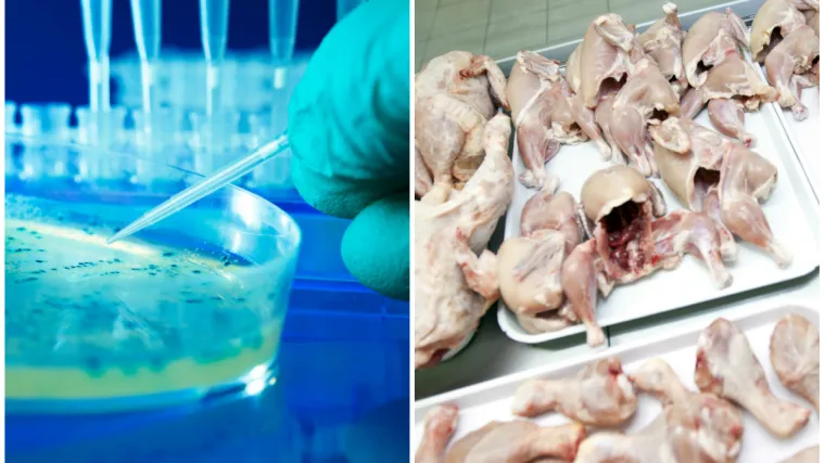 Prodavala se na zagrebačkoj tržnici!