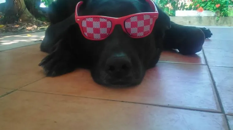 Imala je sreće i zavr&scaron;ila u pravoj obitelji