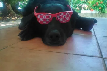 Imala je sreće i zavr&scaron;ila u pravoj obitelji