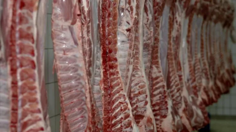 'Dali smo sve od sebe, bili na raspolaganju službama... Ovo što nam rade nije fer ni korektno!'