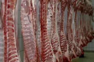 'Dali smo sve od sebe, bili na raspolaganju službama... Ovo što nam rade nije fer ni korektno!'