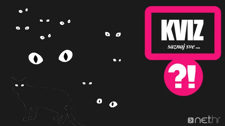 Možete li pronaći mačku na svih 13 fotografija?