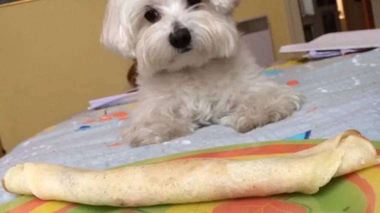 Mišin Bony pravi je majstor žicanja