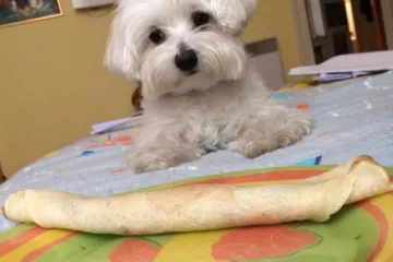 Mi&scaron;in Bony pravi je majstor žicanja