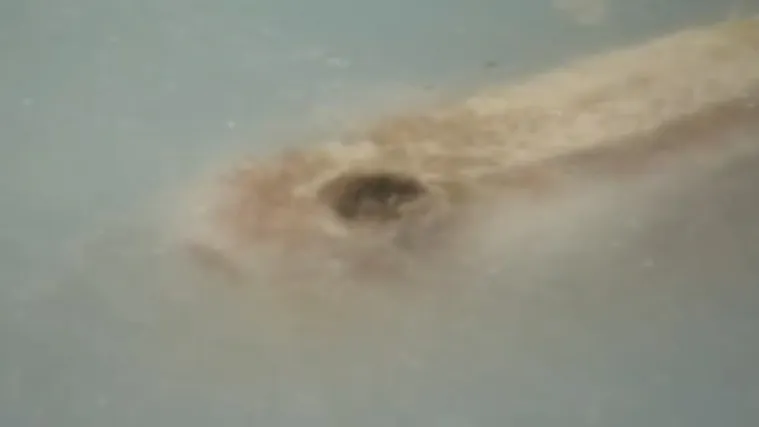 Morali su ga zatvoriti samo jedan dan nakon otvorenja