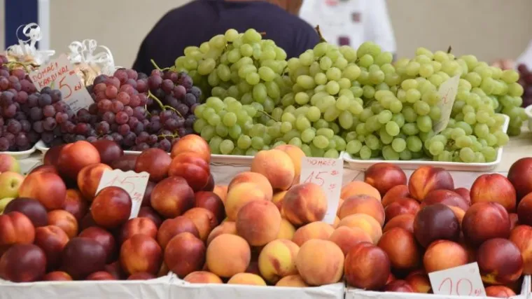 Kad pročitate ovaj tragikomični ispit, dobro ćete razmisliti koje proizvode i od koga kupujete na hrvatskim tržnicama