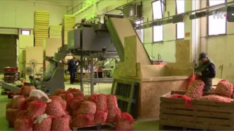 Moslavac otkrio unosnu kulturu i krenuo u bitku protiv uvoznika