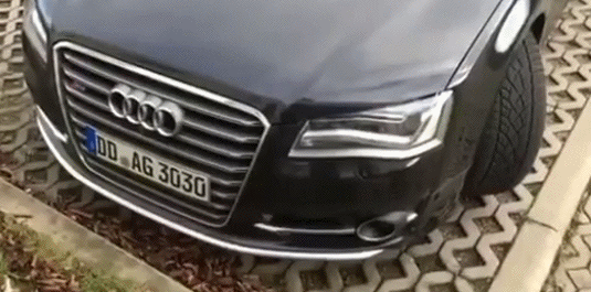 Kad ste toliko bogati da vam ne mogu niti naplatiti kaznu