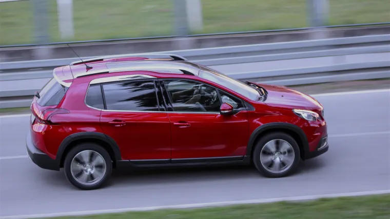 Lav sa svijetlim oružjem i srcem junaka