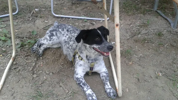 Sigurni smo da 'smje&scaron;ni, divni refren' govori ba&scaron; o ovoj ljepotici