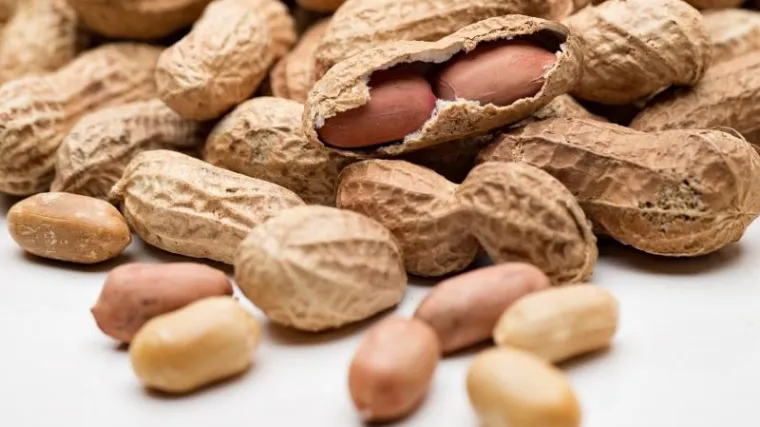 Zbog mikrotoksina povlači se kikiriki u ljusci