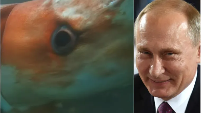 'Putin želi stvora s Antarktike pretvoriti u oružje? Zvuči logično...'