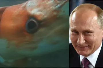 'Putin želi stvora s Antarktike pretvoriti u oružje? Zvuči logično...'