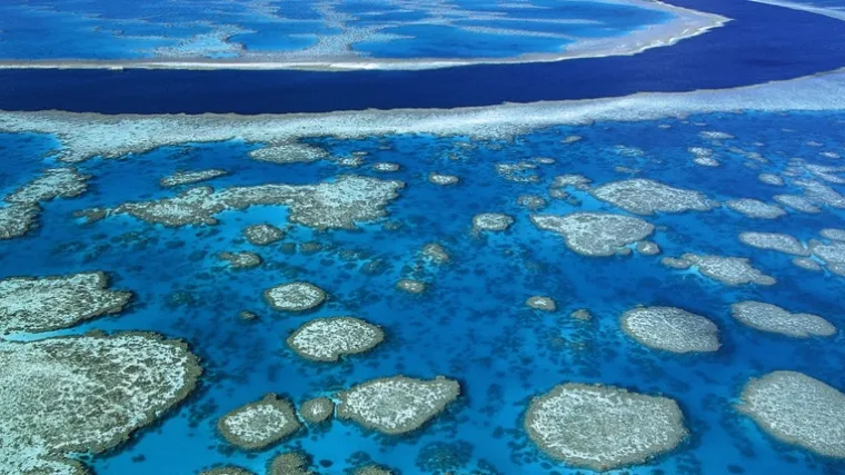 Veliki koraljni greben ne umire, no upozorava se na propust australskih vlasti da se uhvati u ko&scaron;tac s klimatskim promjenama