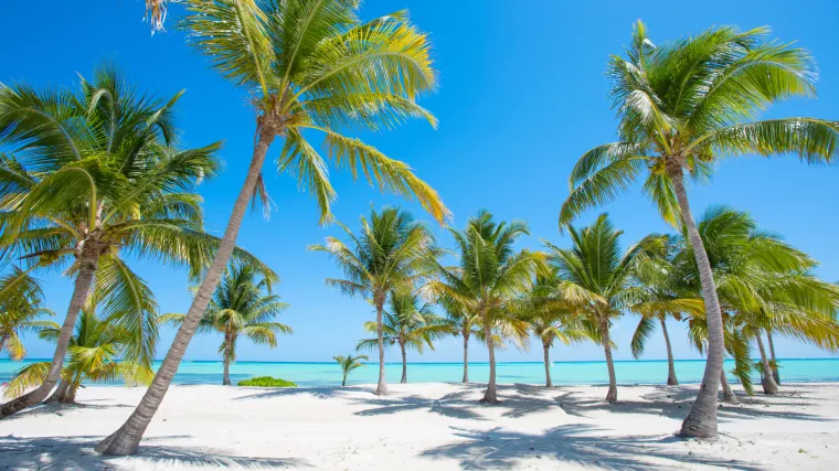 Zaboravite posao iz snova ili bilo &scaron;to drugo &scaron;to ste mislili da vas čini sretnima: ovo je ključ sreće