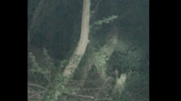 I tri godine nakon što ga je snimila, ženu i dalje progoni duh djevočice