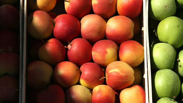 Zbog povećane količine pesticida s trži&scaron;ta povučene jabuke Clever i Moslavina voće