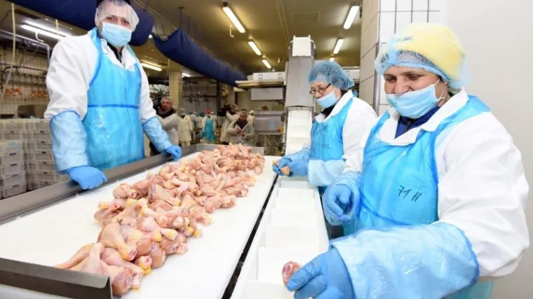 'Nema razloga za zabrinutost, domaće meso apsolutno je ispravno'
