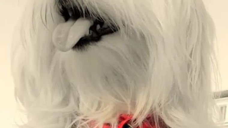 Kiki slobodno može u manekene