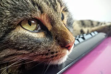 Fritz se &scaron;ulja bolje od pravog &scaron;pijuna, a &scaron;alje mailove bolje od Assangea