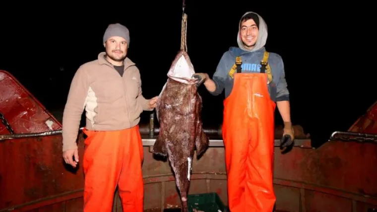 Rijedak ulov razveselio posadu korčulanske koćarice
