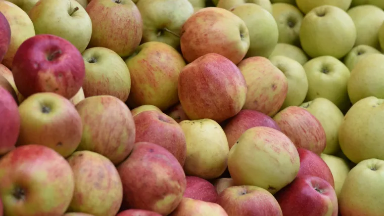 Jedemo li zdrave jabuke i imamo nestručne inspektore ili imamo neinformirane voćare?