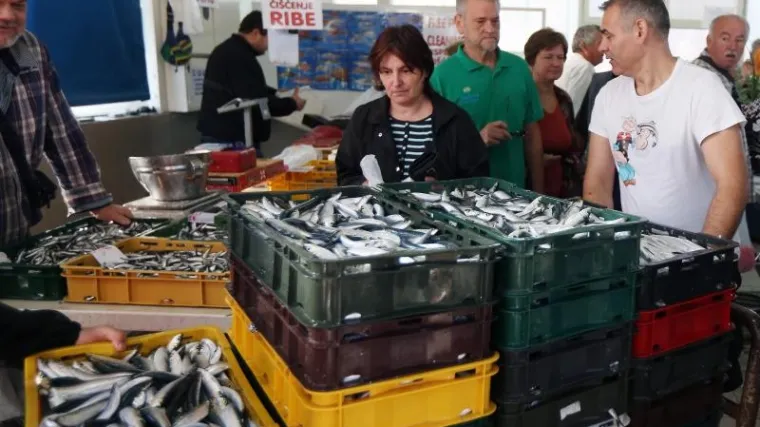 Nepoznati dalmatinski ribar darovao stotine kilograma svježe srdele siroma&scaron;nim građanima