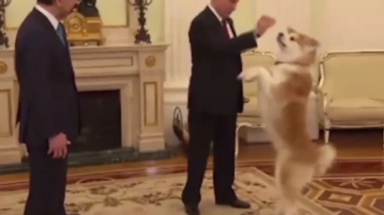 Nakon Merkel, Putinov veliki pas prestravio i japanske novinare