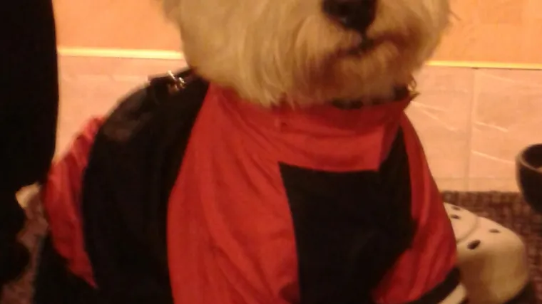 Bony iz Osijeka njeguje prilično jedinstven sportski casual look