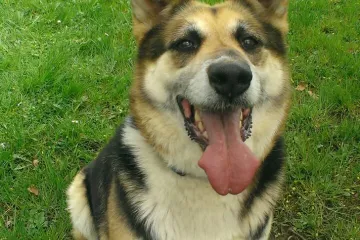 Medena u popodnevnoj &scaron;etnji pokazuje krasan osmijeh i ono &scaron;to radi najbolje