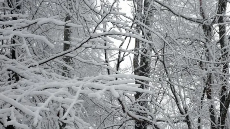 Očekuje nas hladan vikend, u sljedećem tjednu mogućnost dugoočekivanog snijega!