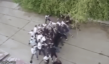 Organizirali borbu 20 protiv 20 i prebili se na mrtvo ime