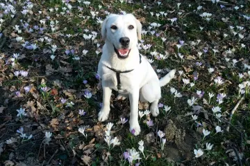 Lili ima proljeće pod svojim &scaron;apama