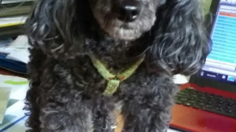 Pogledajte kako samo dobro glumi hakera uhvaćenog na djelu