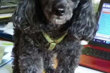 Pogledajte kako samo dobro glumi hakera uhvaćenog na djelu