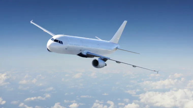 Doletjela na krilima, vratila se kući avionom, pilot: 'To je najneobičniji putnik kojeg sam ikada vozio'