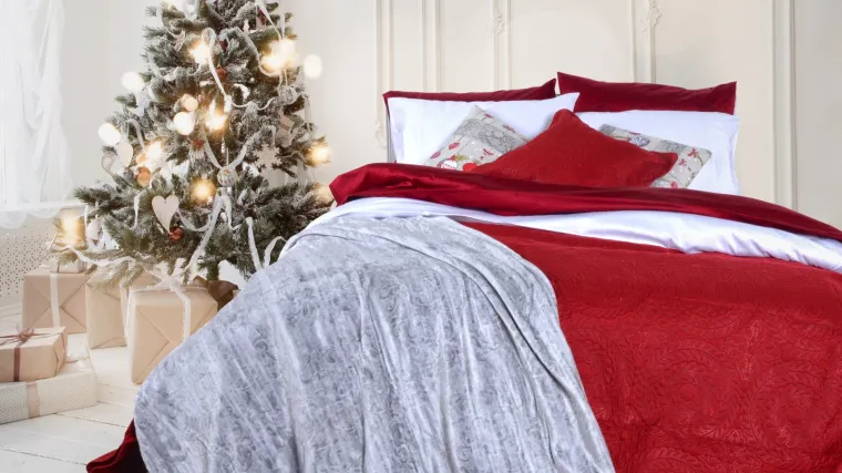 Obogatite blagdanski ugođaj va&scaron;eg doma uz proizvode iz family božićnog asortimana!