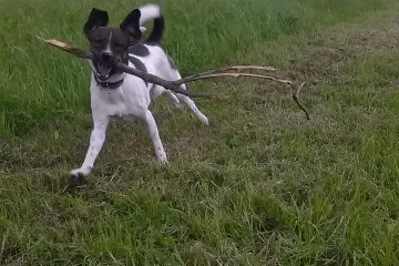 Bernarda ima veliko srce, ali njen Vino jo&scaron; i veće