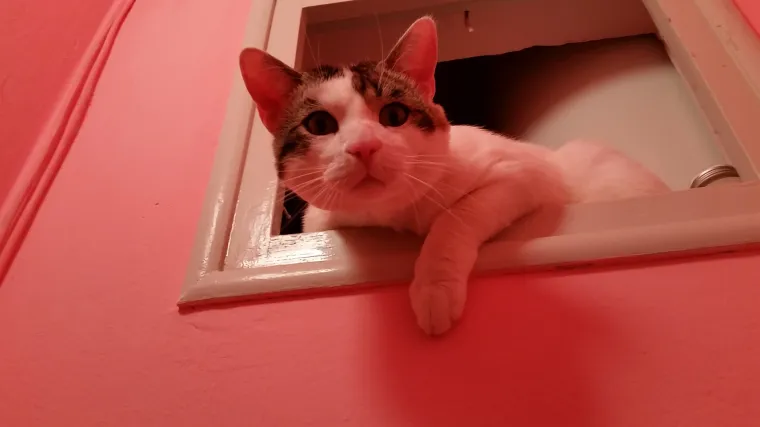 Ne zato &scaron;to bi bio umi&scaron;ljen nego zato &scaron;to je gore tako toplo i zabavno