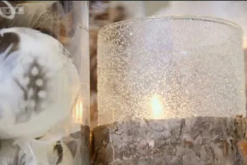 Ne možete odlučiti između umjetnog i prirodnog bora? Ne brinite, tu je Mirjana Mikulec