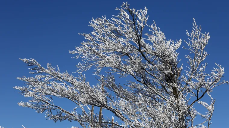 Vikend prognoza - inje i mraz za dojam božićne bjeline!