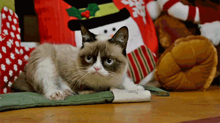 Božić s ljubimcima: Krpice i pokloni za na&scaron;e mezimce