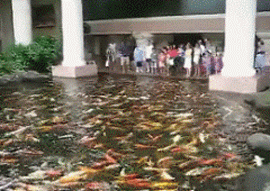 Ono kad se ne&scaron;to besplatno dijeli