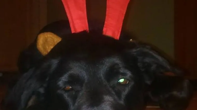 Ovakav pogled će prekosutra imati većina ljudi