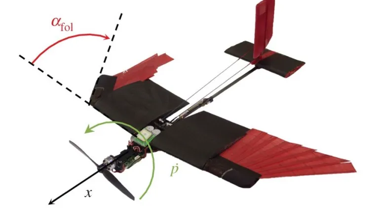 Let ovog drona koji mijenja oblik inspiriran je prirodom
