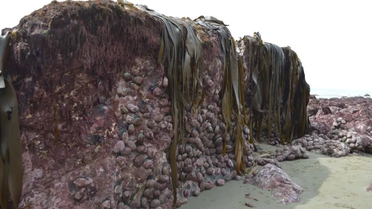 Novi Zeland u 2016. zabilježio rekordan broj potresa: 'Zemlja se uru&scaron;avala pod na&scaron;im nogama'