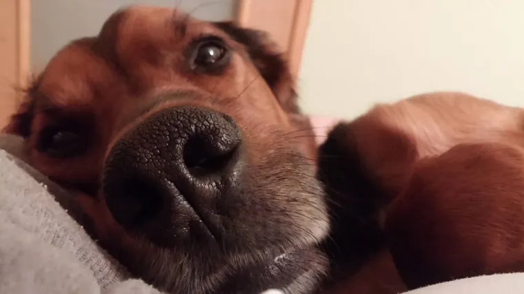 Aron ima dvoje ljudi koji ga maze i paze, a nekako se i nama uvukao pod kožu