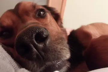 Aron ima dvoje ljudi koji ga maze i paze, a nekako se i nama uvukao pod kožu